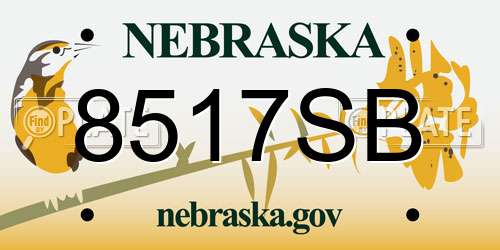 8517SB Nebraska License Plate
