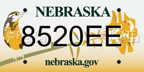 8520EE Nebraska License Plate