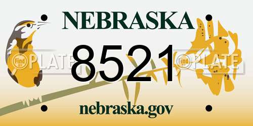 8521 Nebraska License Plate