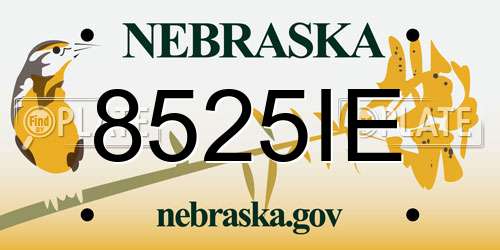 8525IE Nebraska License Plate