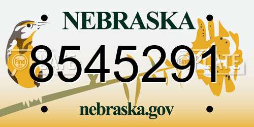 8545291 Nebraska License Plate