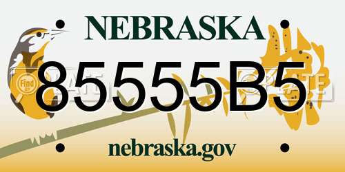 85555B5 Nebraska License Plate