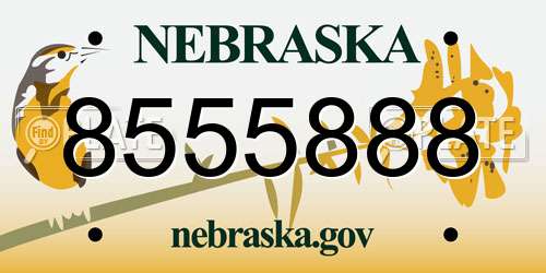 8555888 Nebraska License Plate