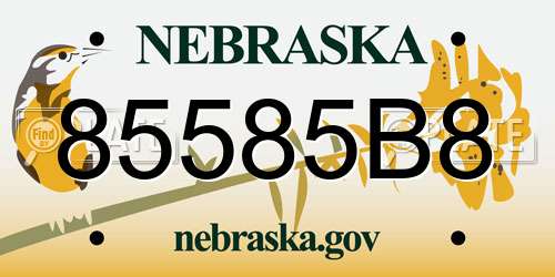 85585B8 Nebraska License Plate