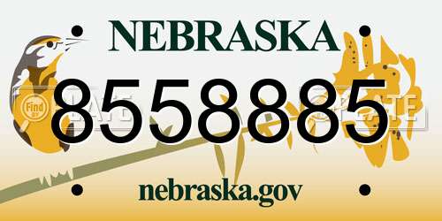 8558885 Nebraska License Plate