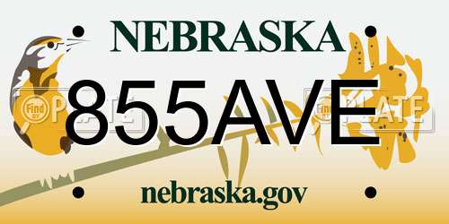 855AVE Nebraska License Plate