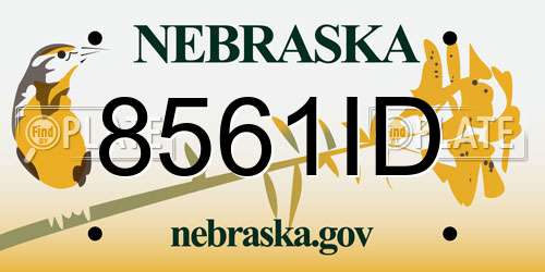 8561ID Nebraska License Plate