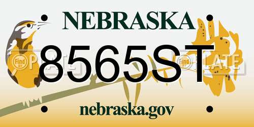8565ST Nebraska License Plate