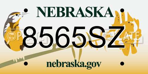 8565SZ Nebraska License Plate