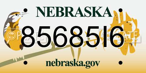 85685I6 Nebraska License Plate