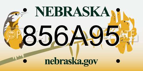 856A95 Nebraska License Plate