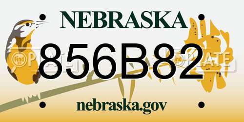 856B82 Nebraska License Plate