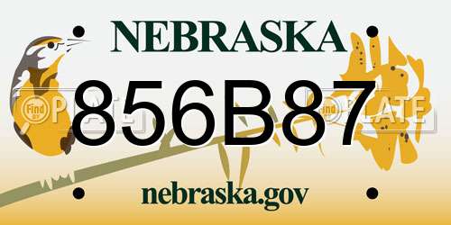 856B87 Nebraska License Plate