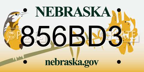 856BD3 Nebraska License Plate