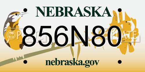 856N80 Nebraska License Plate