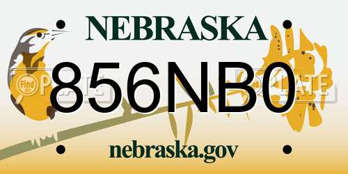 856NB0 Nebraska License Plate