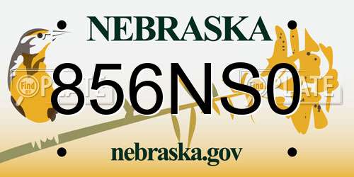 856NS0 Nebraska License Plate