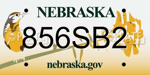 856SB2 Nebraska License Plate