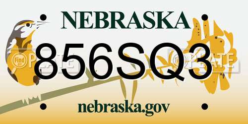 856SQ3 Nebraska License Plate