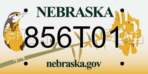 856T01 Nebraska License Plate
