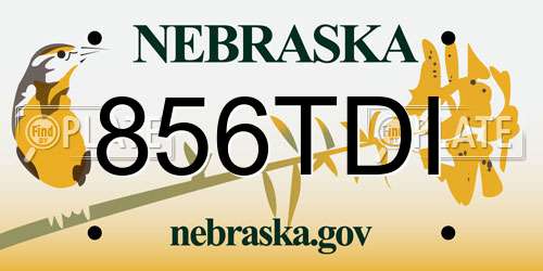 856TDI Nebraska License Plate