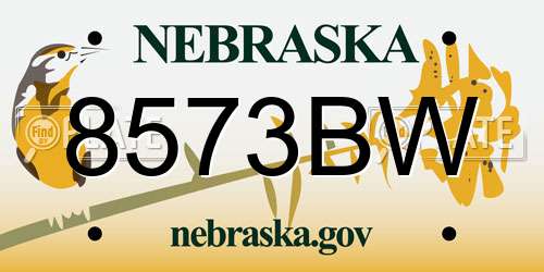 8573BW Nebraska License Plate