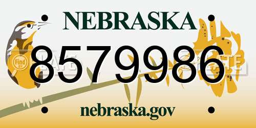 8579986 Nebraska License Plate