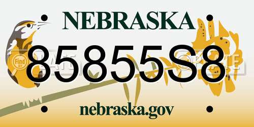 85855S8 Nebraska License Plate