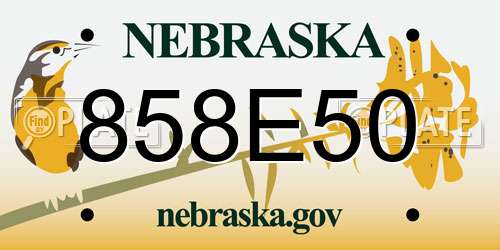 858E50 Nebraska License Plate