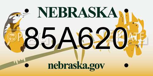 85A620 Nebraska License Plate
