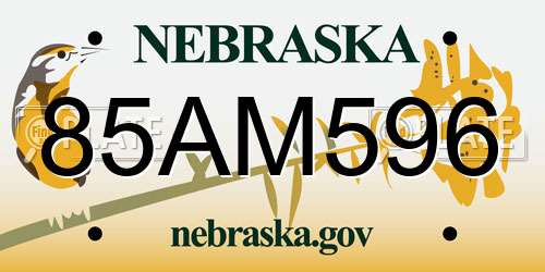 85AM596 Nebraska License Plate