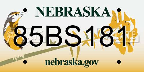 85BS181 Nebraska License Plate
