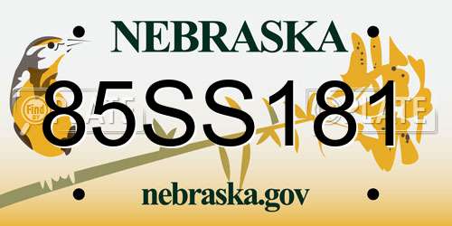 85SS181 Nebraska License Plate