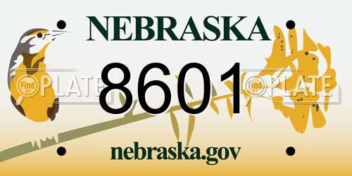 8601 Nebraska License Plate