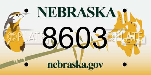 8603 Nebraska License Plate