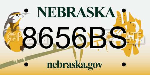 8656BS Nebraska License Plate