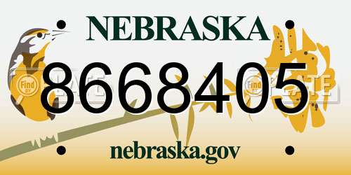 8668405 Nebraska License Plate