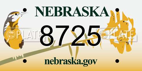 8725 Nebraska License Plate