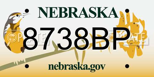 8738BP Nebraska License Plate