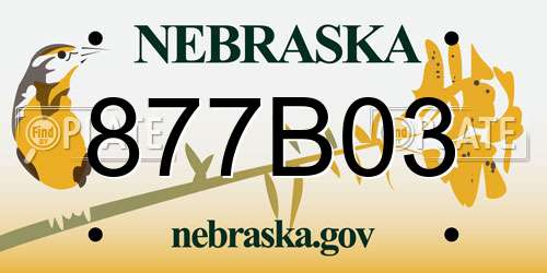 877B03 Nebraska License Plate