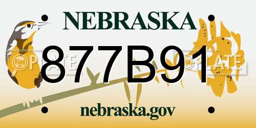 877B91 Nebraska License Plate