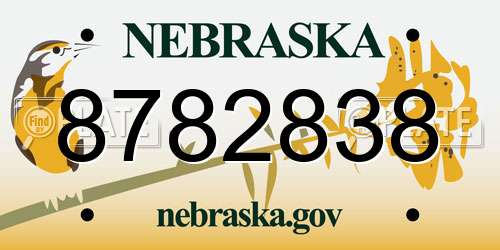 8782838 Nebraska License Plate