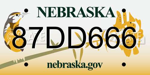 87DD666 Nebraska License Plate