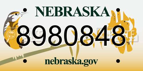 8980848 Nebraska License Plate