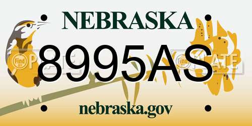 8995AS Nebraska License Plate