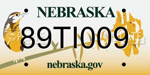 89TI009 Nebraska License Plate