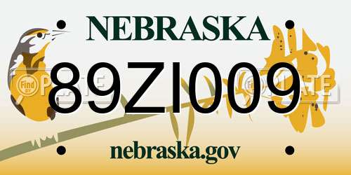 89ZI009 Nebraska License Plate