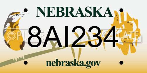 8AI234 Nebraska License Plate