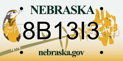 8B13I3 Nebraska License Plate