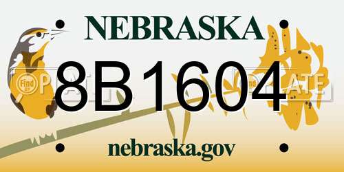 8B1604 Nebraska License Plate